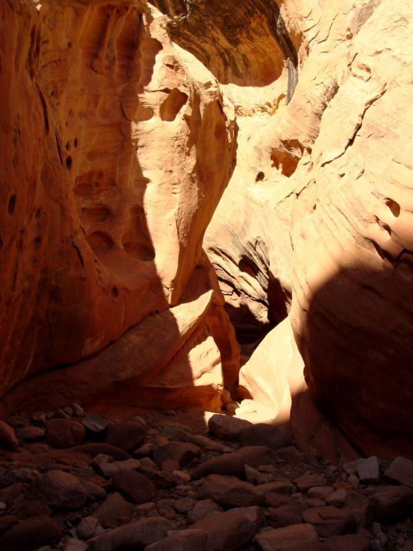 04160302LittleWildHorse (1038)